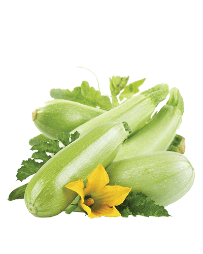 Pampers Pelene Gaćice Jumbo Pack